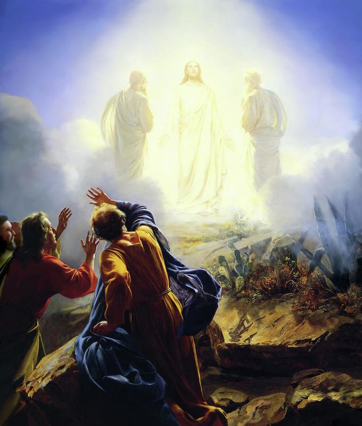 Image for They Looked Up & Saw Jesus Only - Essays Recognizing Jon's 40th Year as Editor, 1978-2018